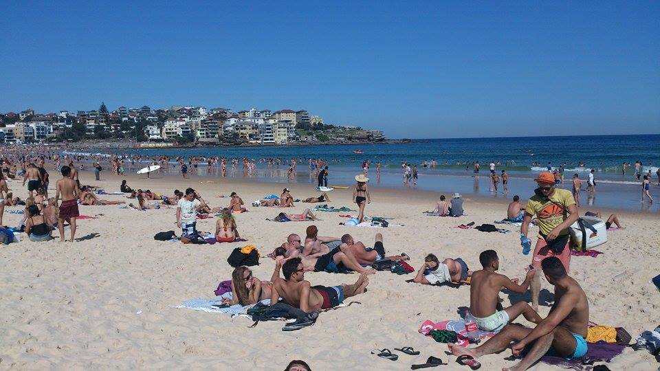 11020394_10153674712234778_266744939_n