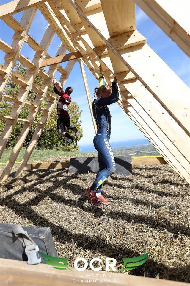 14717204_10153745381011266_4210504194722791044_n