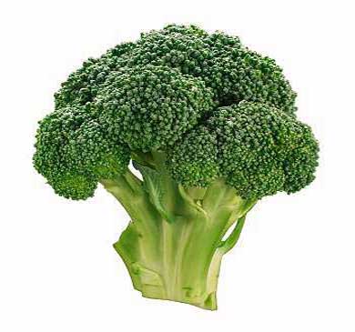 broccoli1