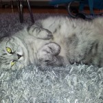 20120407_115149 (640×480)