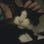 20121212_213758 (640×480)