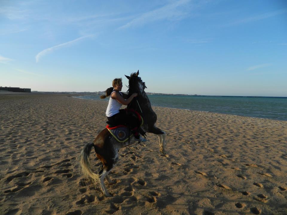 400627_402207536553400_1216965399_n