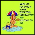 482797_509058042463844_1918522008_n