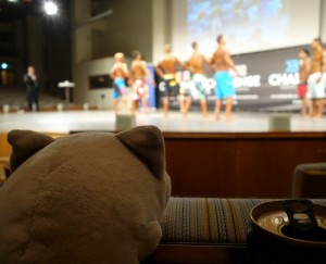 Maskoten (katten) Chili är alltid en trogen följeslagare på alla fitnesstävlingar