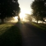 994602_10151651703539067_1246049266_n