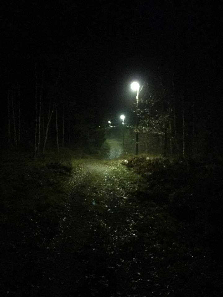 12226796_10206219073648607_4374670_n-1