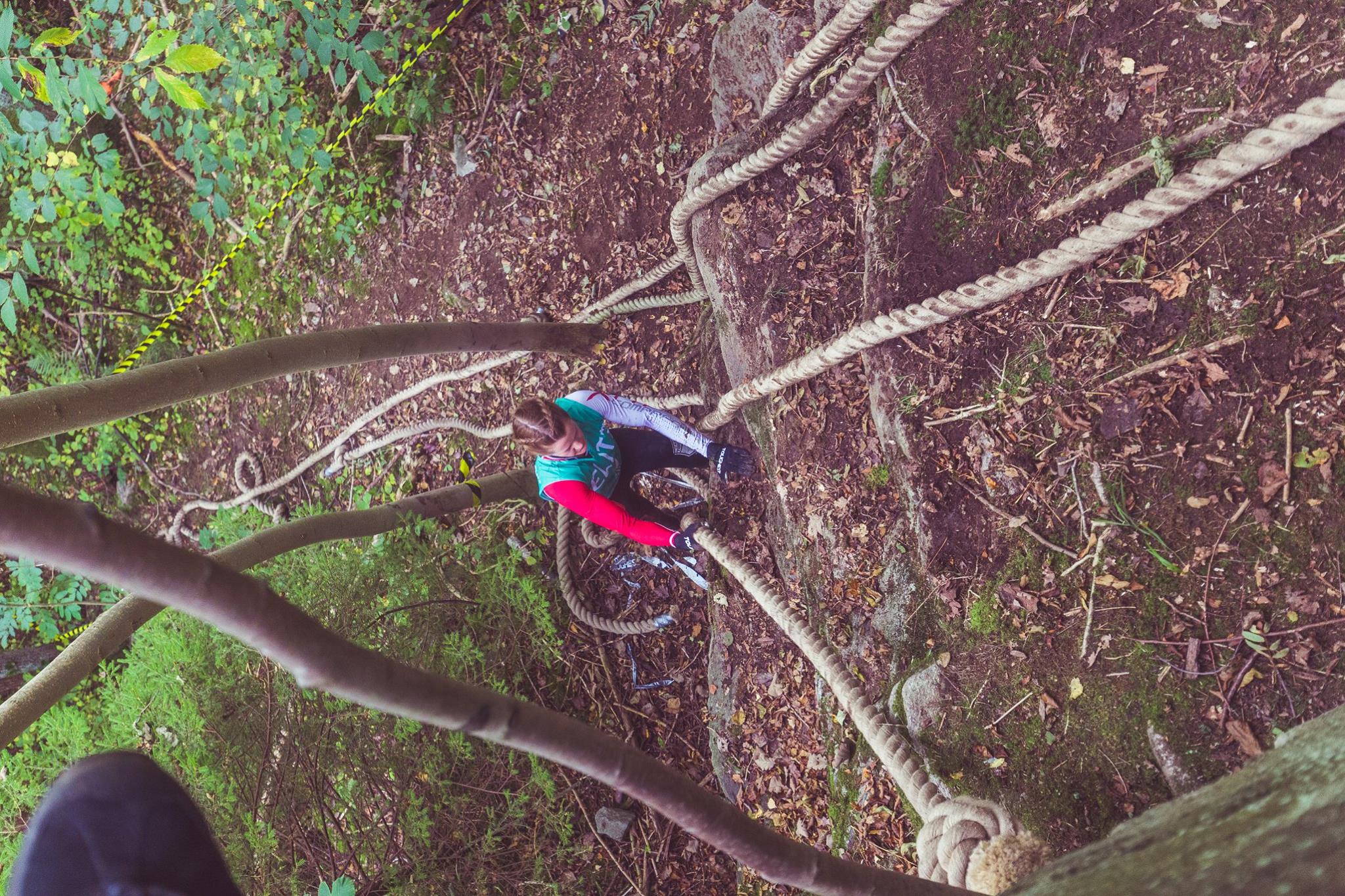 12052456_10155781269156980_1422170778372336063_o