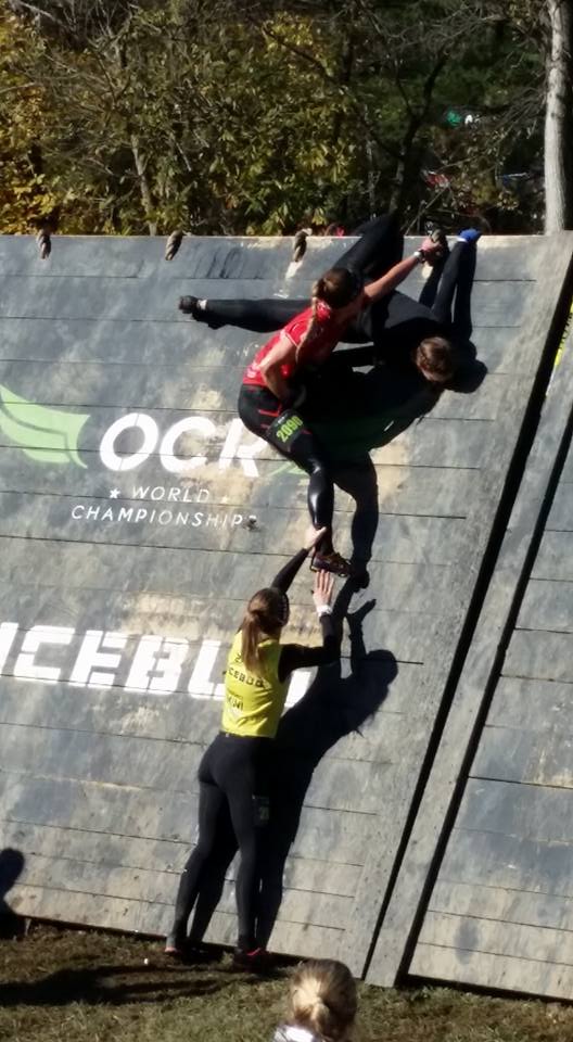 12065751_1056454491071741_2379387844382712010_n