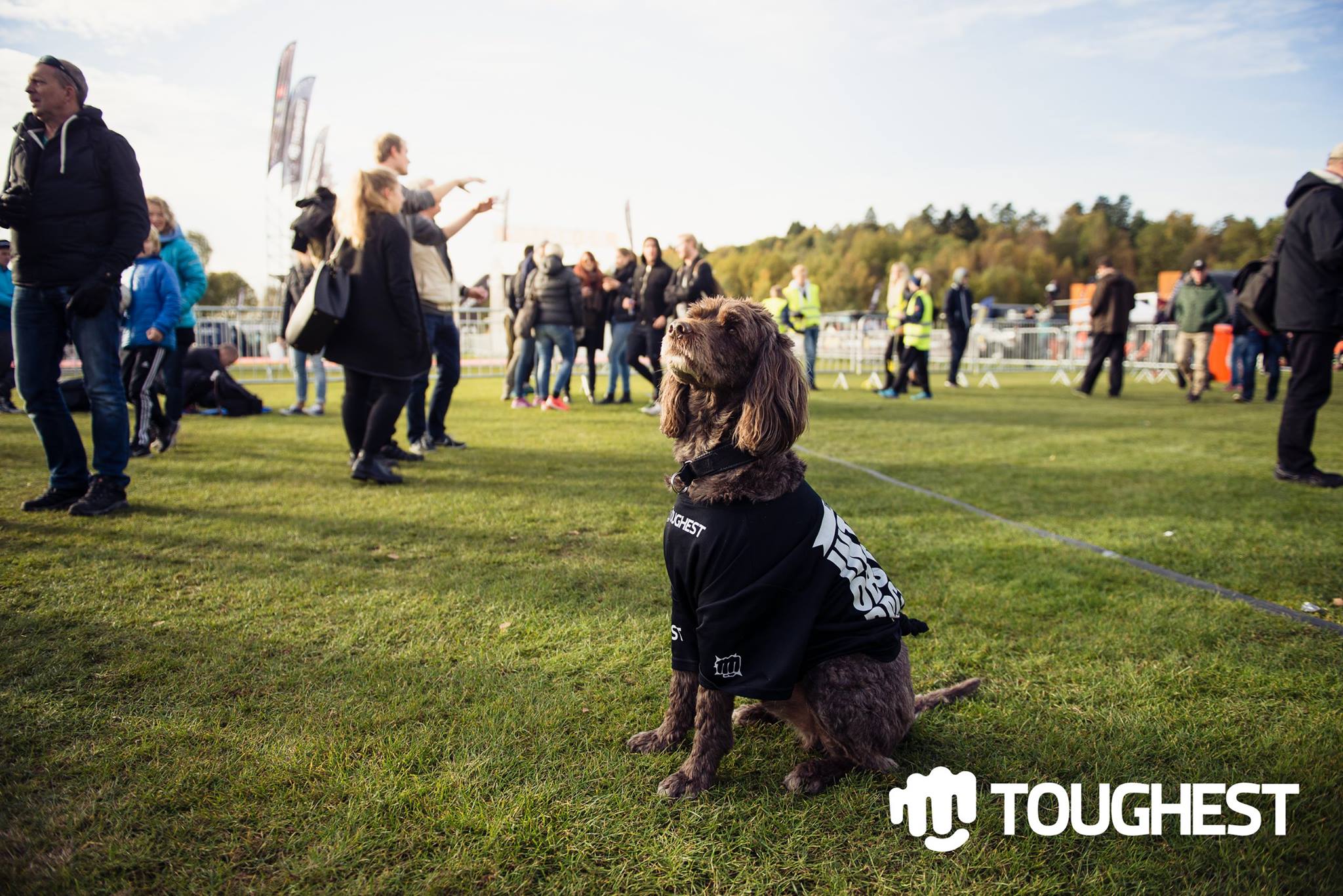 12091418_909893225768418_3797360094418426443_o