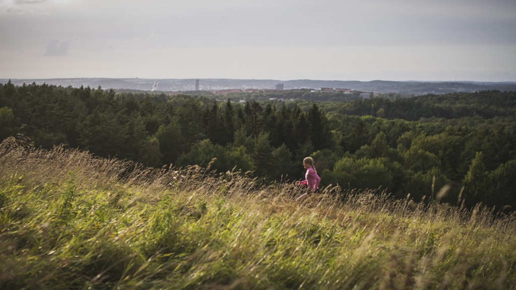 OJENSA_2015_Spoon03601