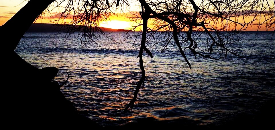 10941251_756090814487653_83729747_n